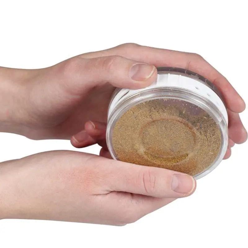 Set Of 6 Coin Spice Jar, Kitchen Condiment Storage Box, Multifunctional Transparent Cellular Spice Bowl, Creative Transparent Seasoning Cans, Kitchen Spice Mill Storage Condiment Bottles Set Of 6 Coin Spice Jar, Kitchen Condiment Storage Box, Multifunctional Transparent Cellular Spice Bowl, Creative Transparent Seasoning Cans, Kitchen Spice Mill Storage Condiment Bottles